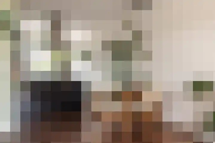 Cruquius 31 Hillegom thumbnail 12
