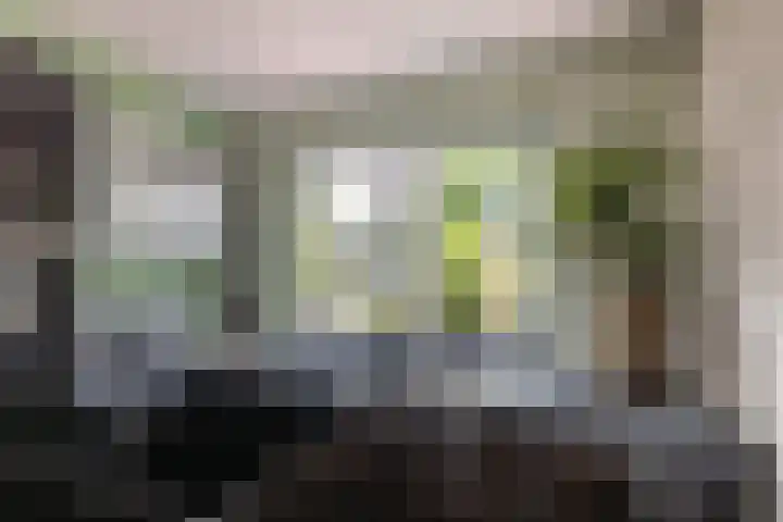 Cruquius 31 Hillegom thumbnail 13