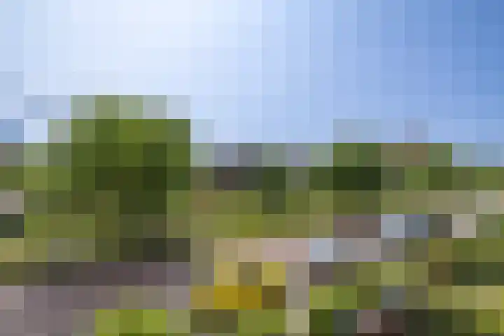 Cruquius 31 Hillegom thumbnail 23