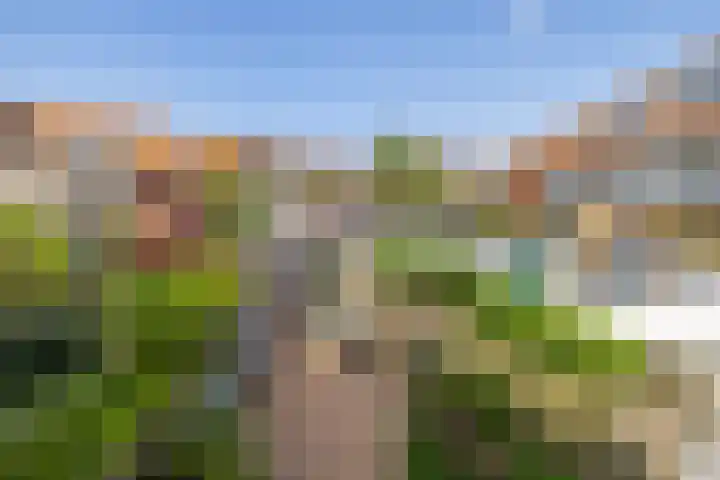 Cruquius 31 Hillegom thumbnail 24