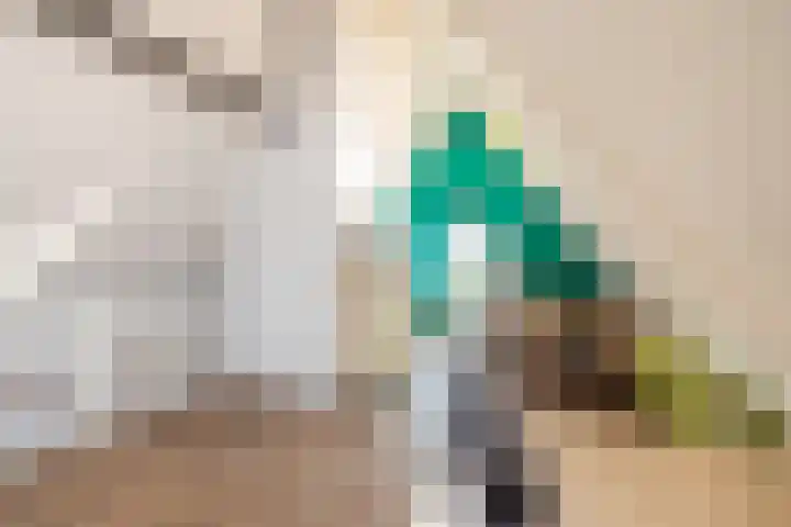 Cruquius 31 Hillegom thumbnail 26