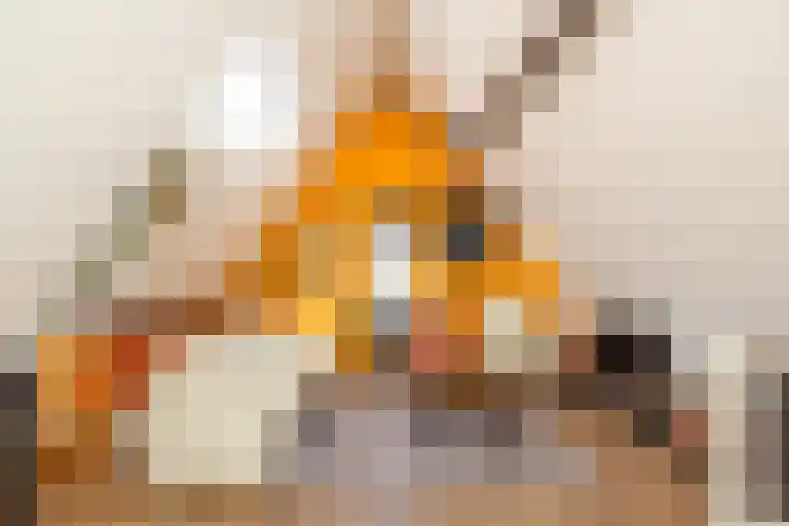 Cruquius 31 Hillegom thumbnail 29