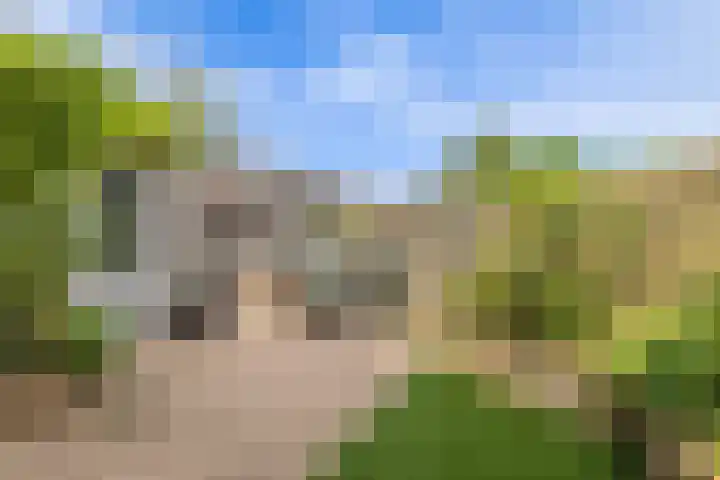 Cruquius 31 Hillegom thumbnail 36