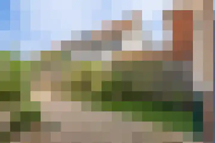 Cruquius 31 Hillegom thumbnail 37