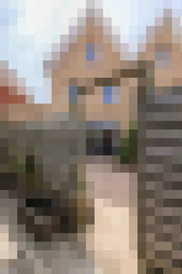 Cruquius 31 Hillegom thumbnail 39