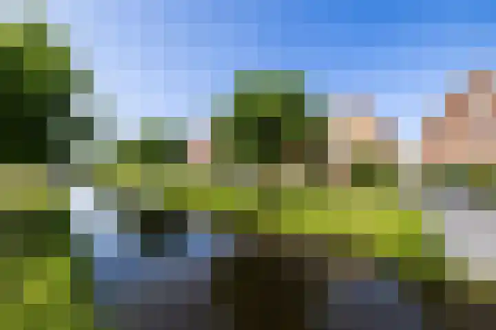 Cruquius 31 Hillegom thumbnail 40