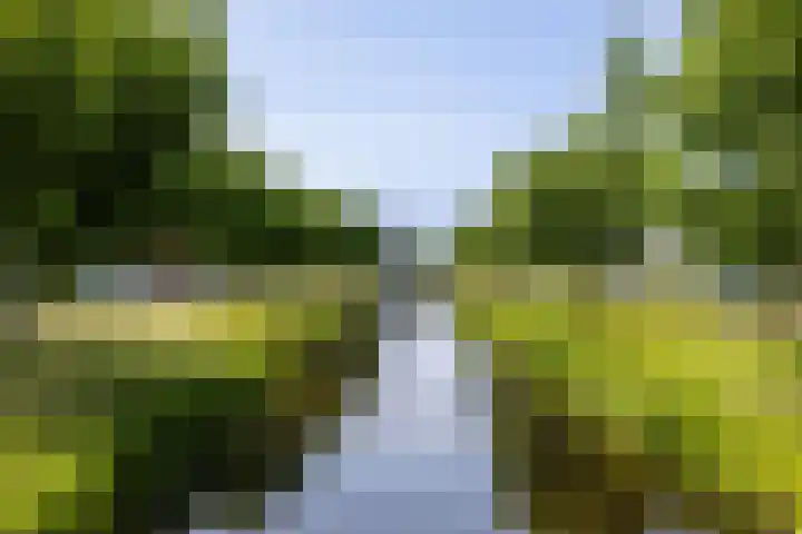 Cruquius 31 Hillegom thumbnail 41