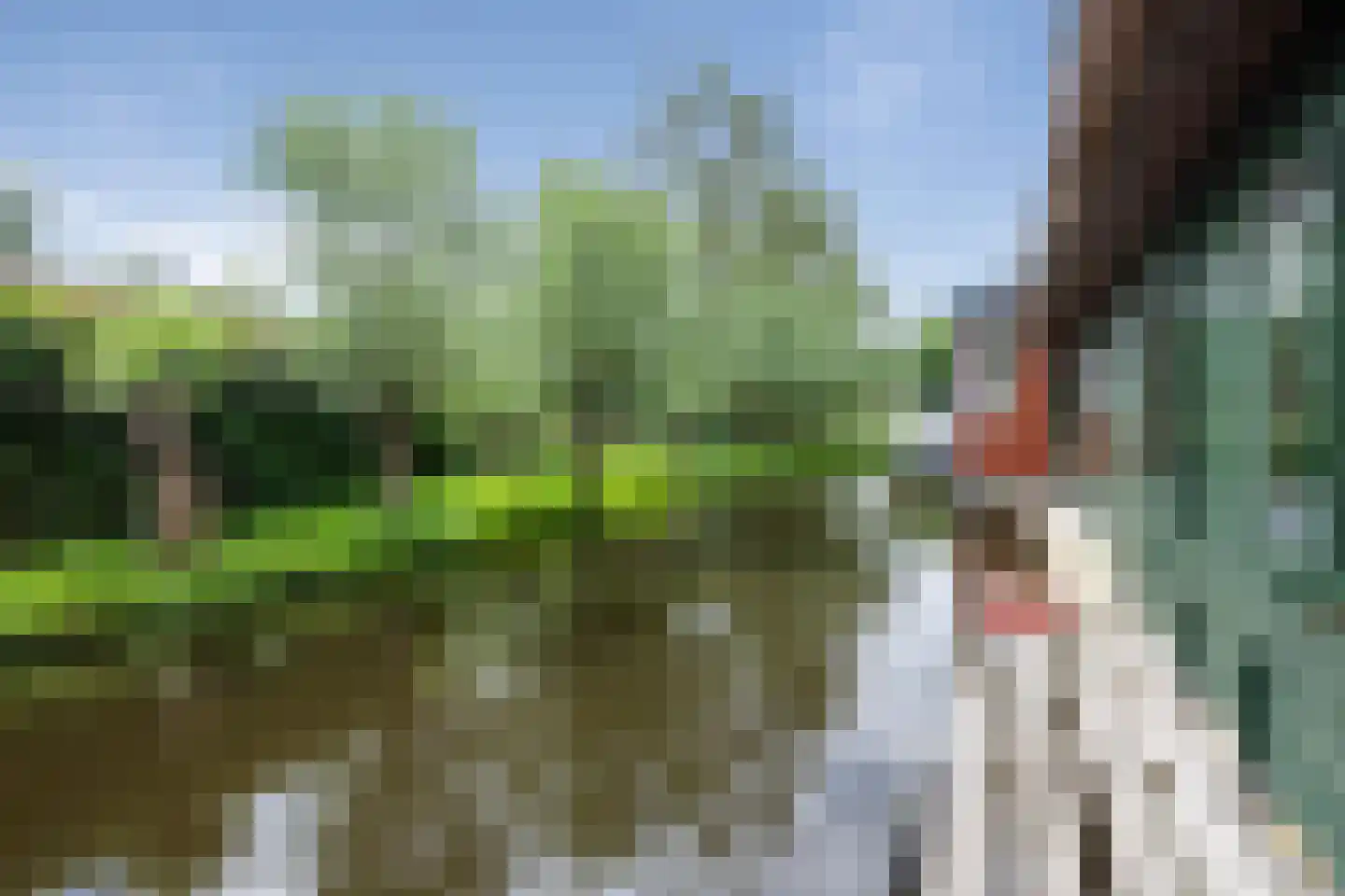 Cruquiushaven 5 Heemstede thumbnail 32