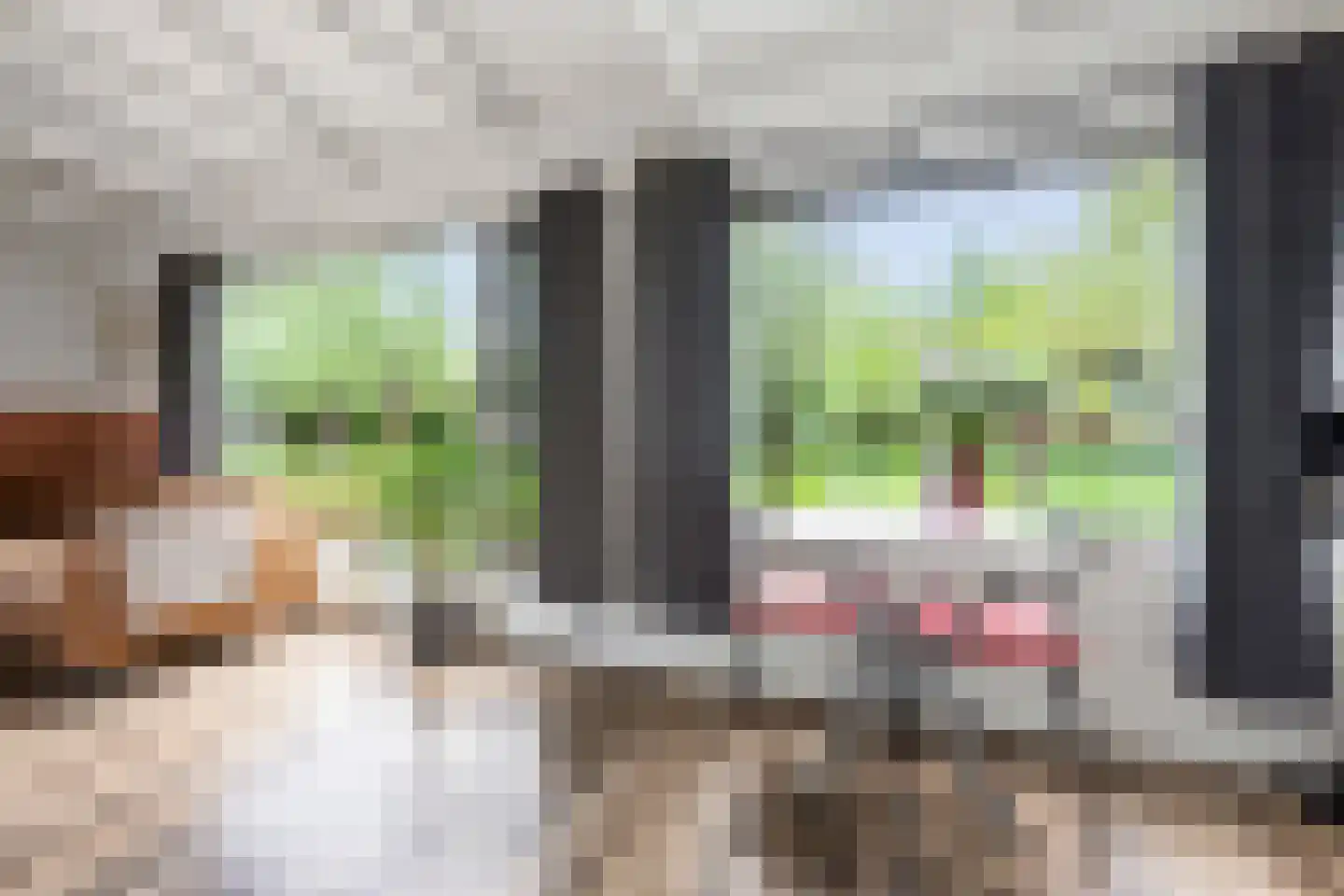 Cruquiushaven 5 Heemstede thumbnail 7