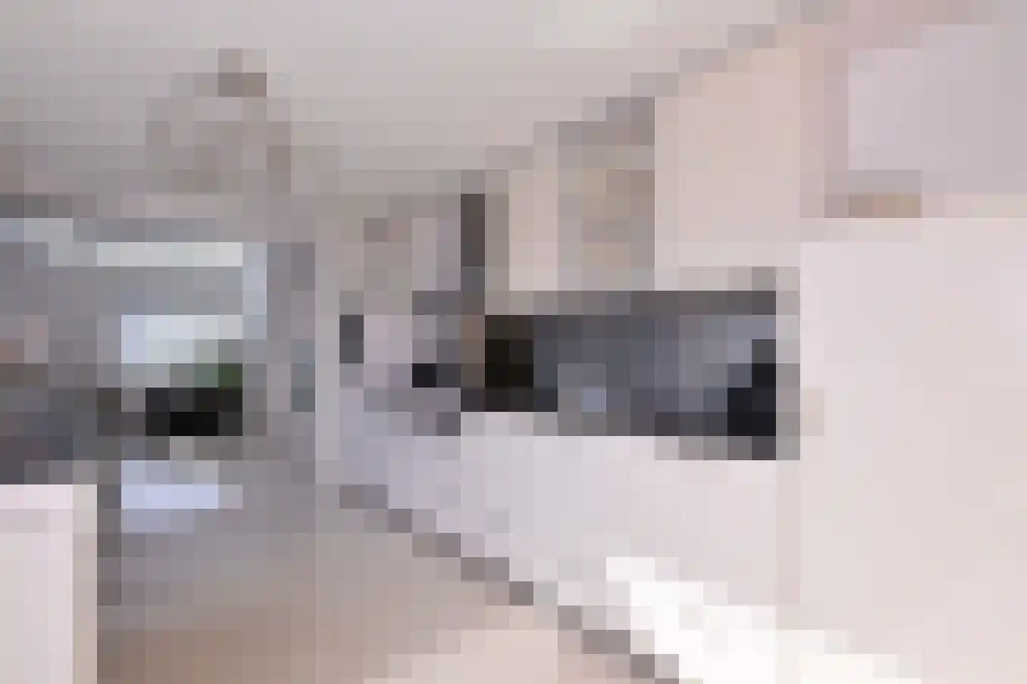 Cruquiushof 3 Deventer thumbnail 21