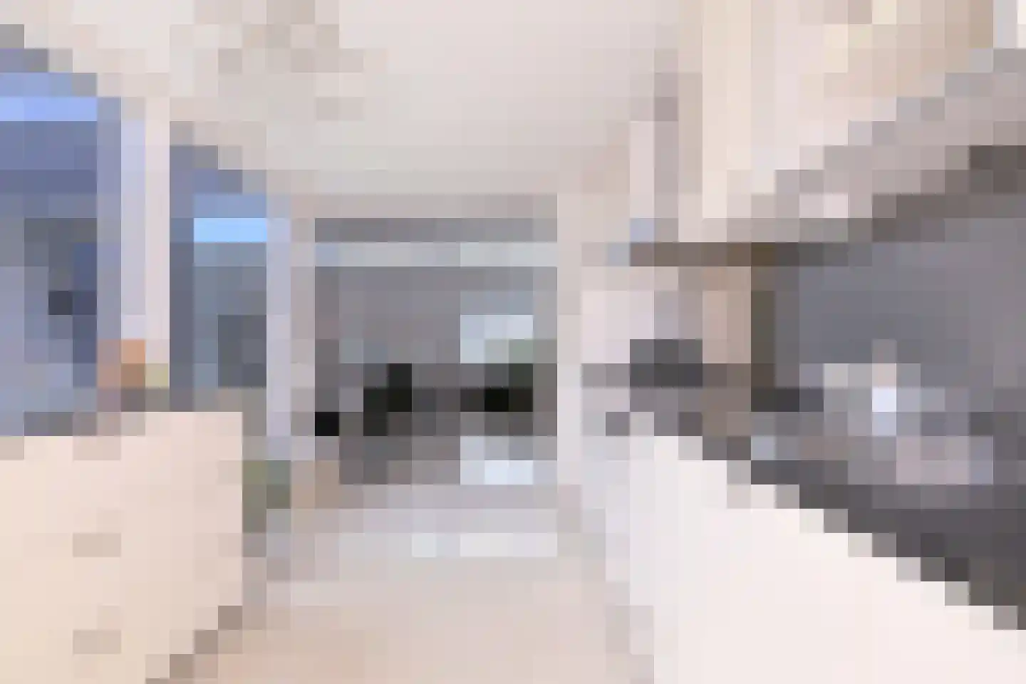Cruquiushof 3 Deventer thumbnail 22