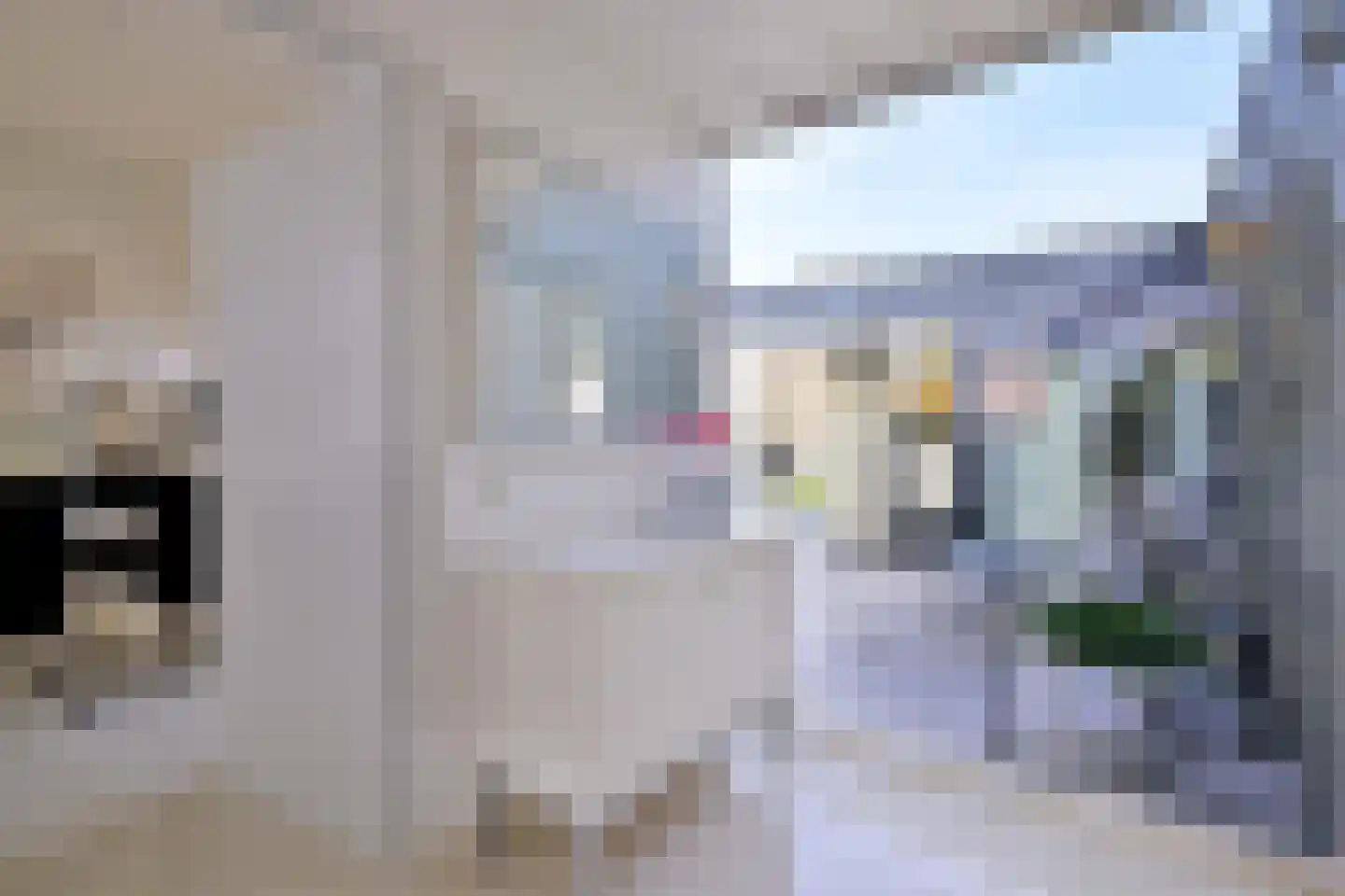 Cruquiushof 3 Deventer thumbnail 24