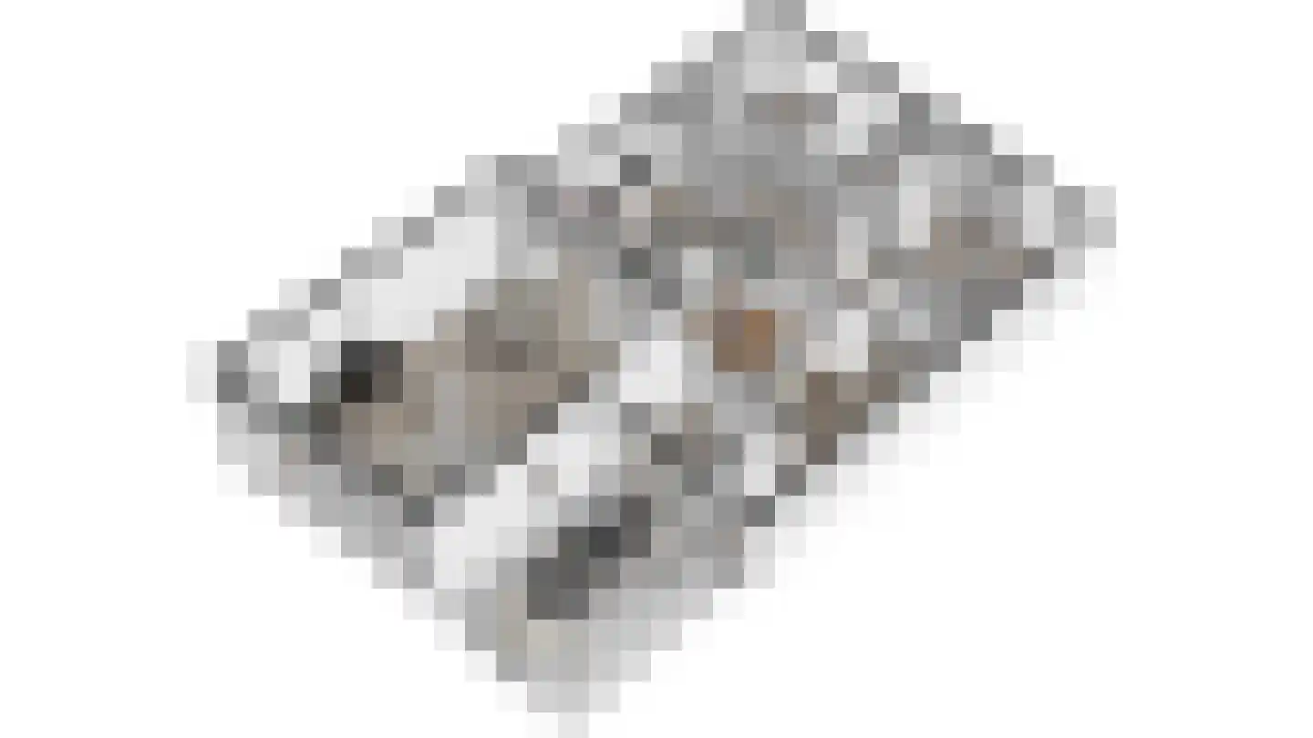 Cruquiushof 3 Deventer thumbnail 34