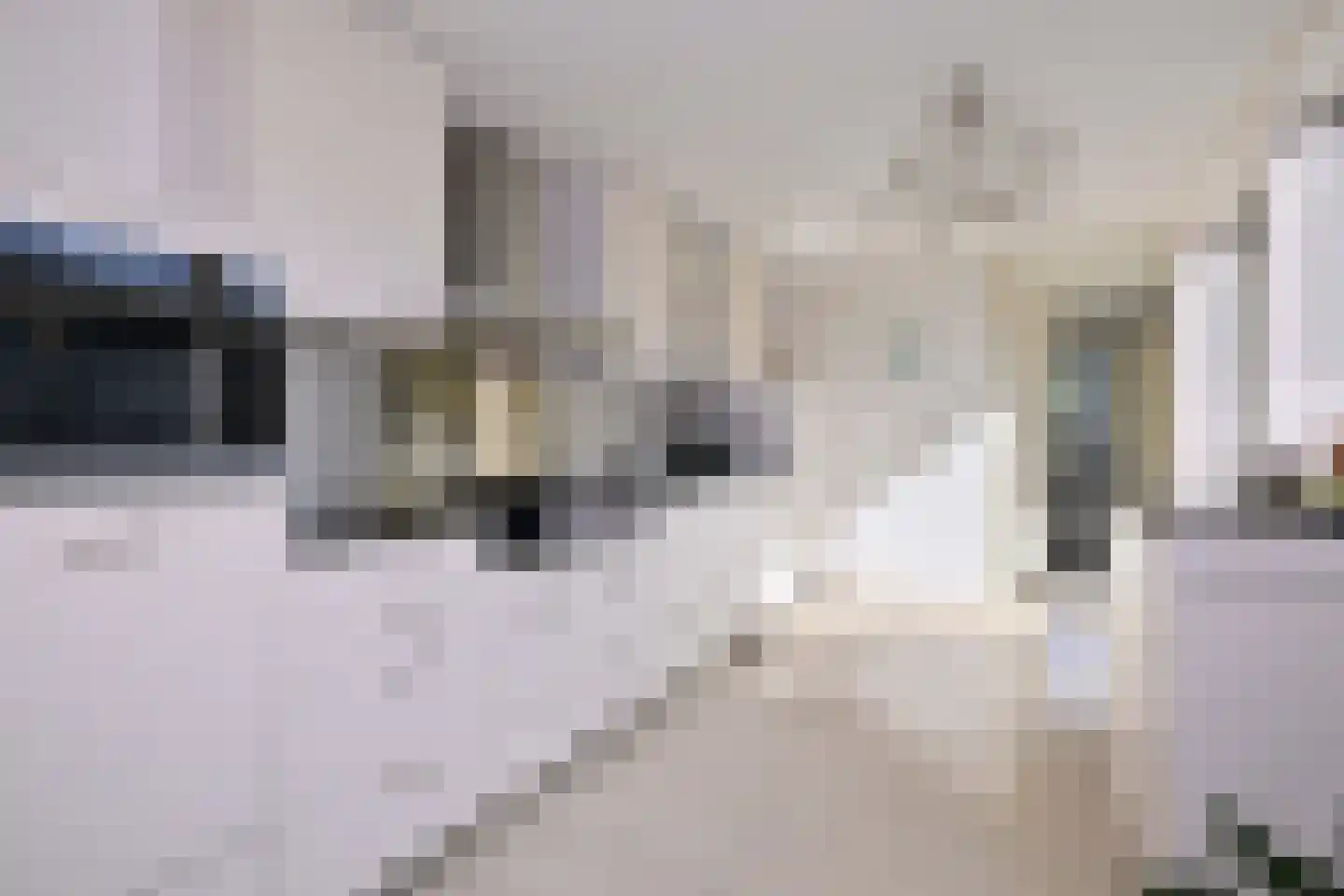 Cruquiushof 3 Deventer thumbnail 8