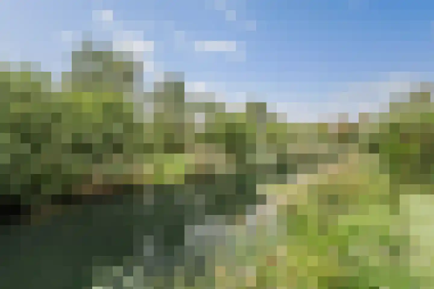 Cruquiushof 52 Deventer thumbnail 41