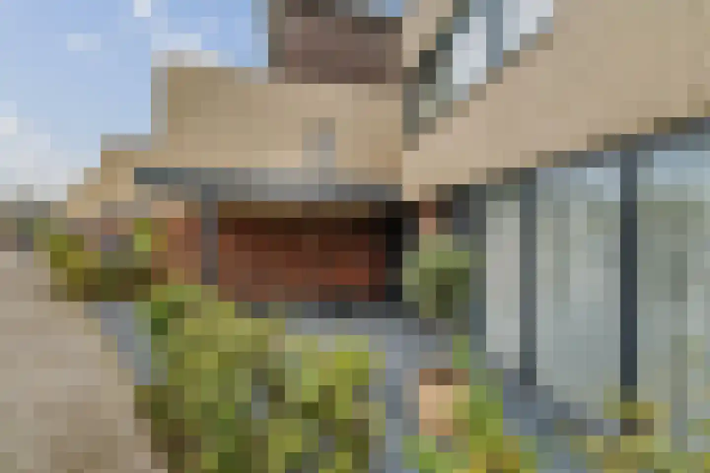 Cruquiushof 52 Deventer thumbnail 48