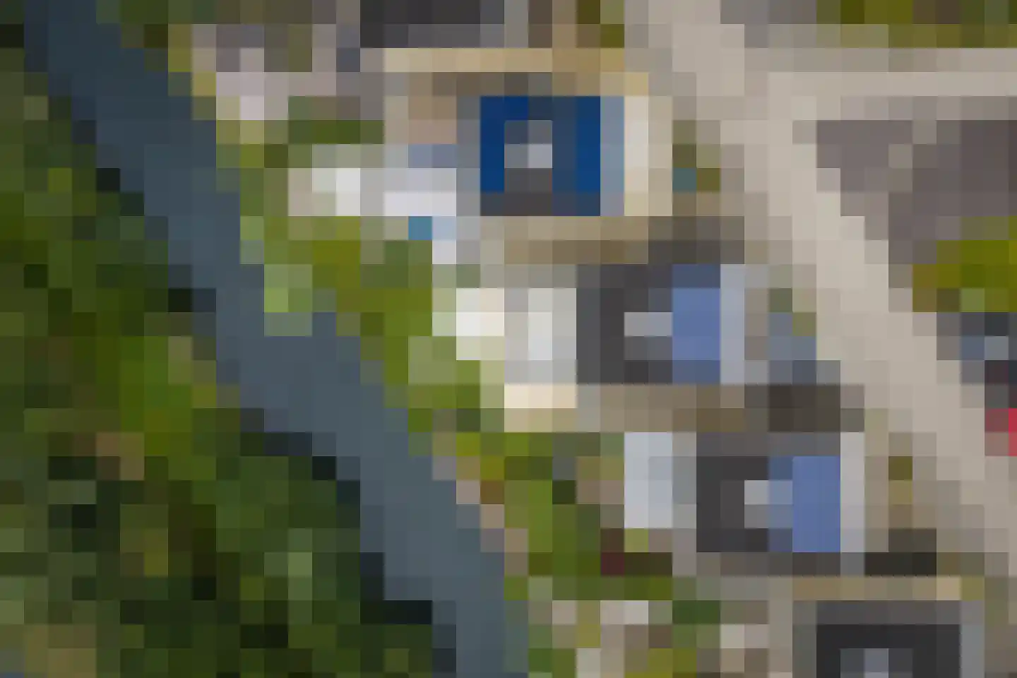 Cruquiushof 52 Deventer thumbnail 54