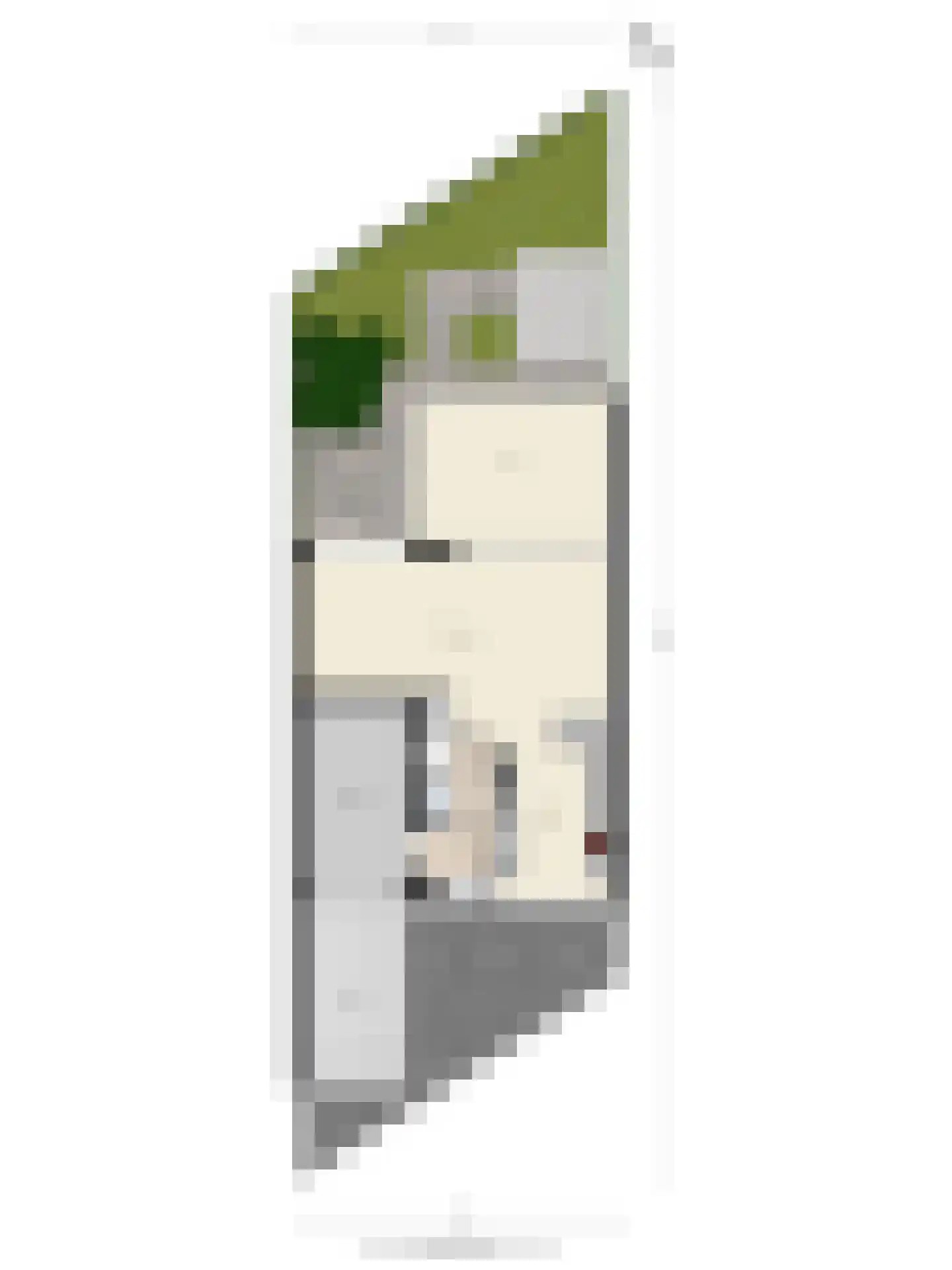 Cruquiushof 52 Deventer thumbnail 56
