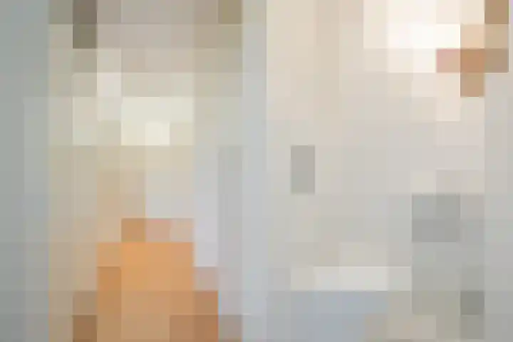 Cruquiushof 62 Deventer thumbnail 15