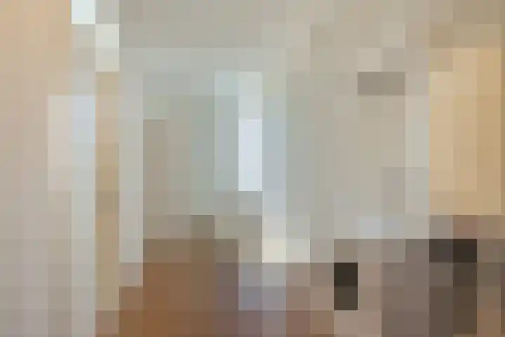 Cruquiushof 62 Deventer thumbnail 37