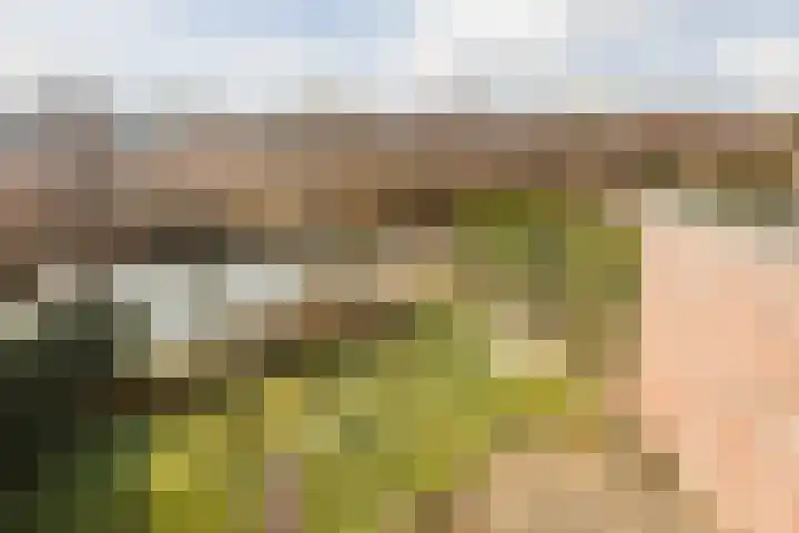 Cruquiushof 62 Deventer thumbnail 39