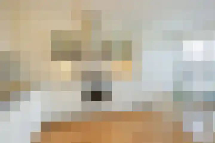 Cruquiushof 62 Deventer thumbnail 4