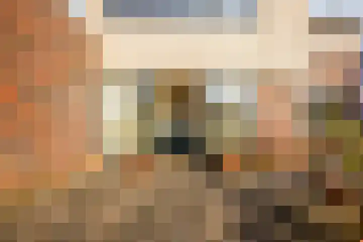 Cruquiushof 62 Deventer thumbnail 42