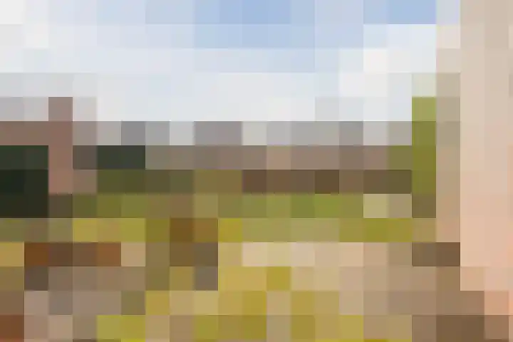 Cruquiushof 62 Deventer thumbnail 43