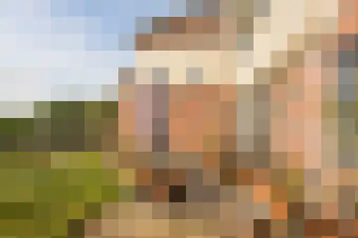 Cruquiushof 62 Deventer thumbnail 44