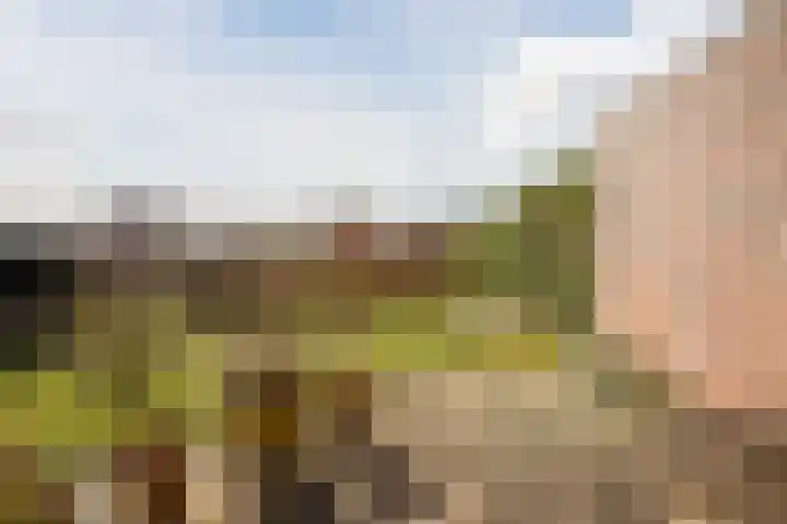 Cruquiushof 62 Deventer thumbnail 45
