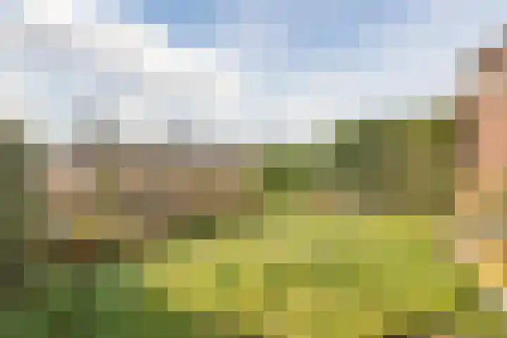 Cruquiushof 62 Deventer thumbnail 47
