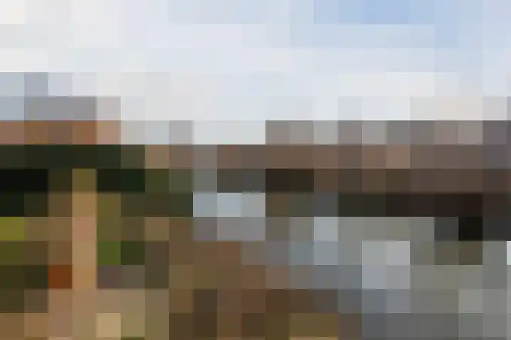 Cruquiushof 62 Deventer thumbnail 48