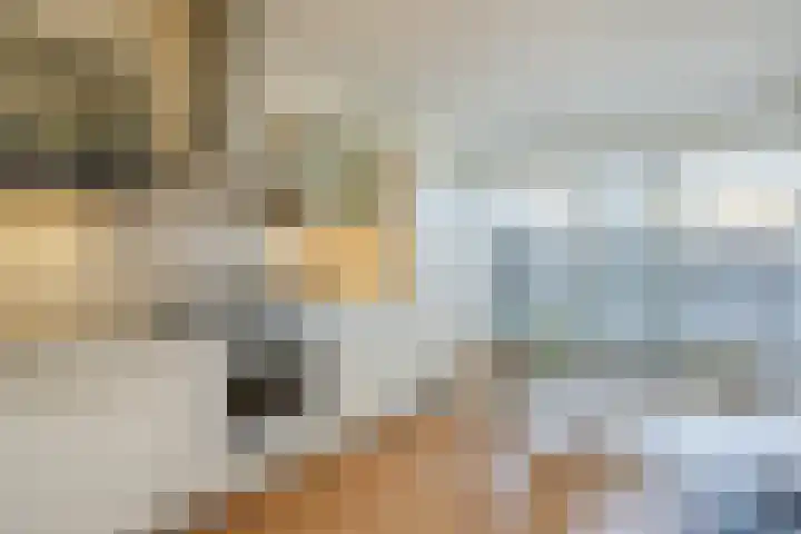 Cruquiushof 62 Deventer thumbnail 5