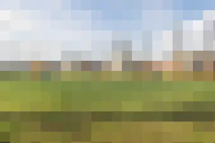 Cruquiushof 62 Deventer thumbnail 52