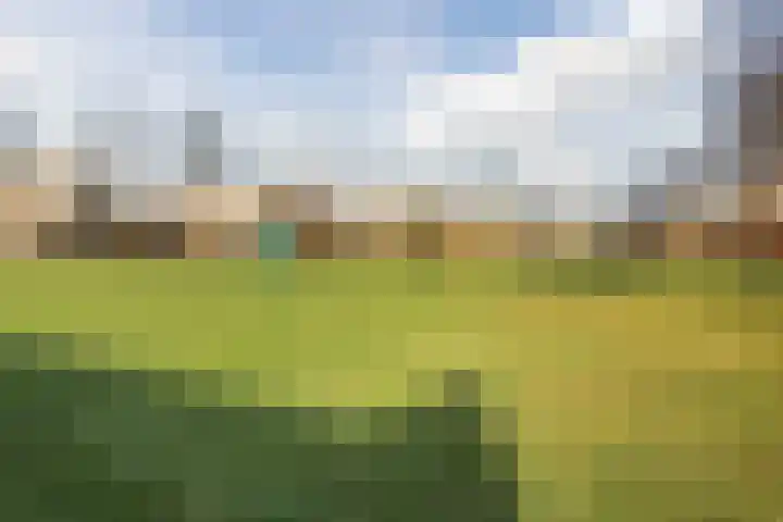 Cruquiushof 62 Deventer thumbnail 53