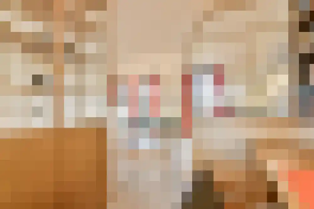 Cruquiuskade 151 Amsterdam thumbnail 13