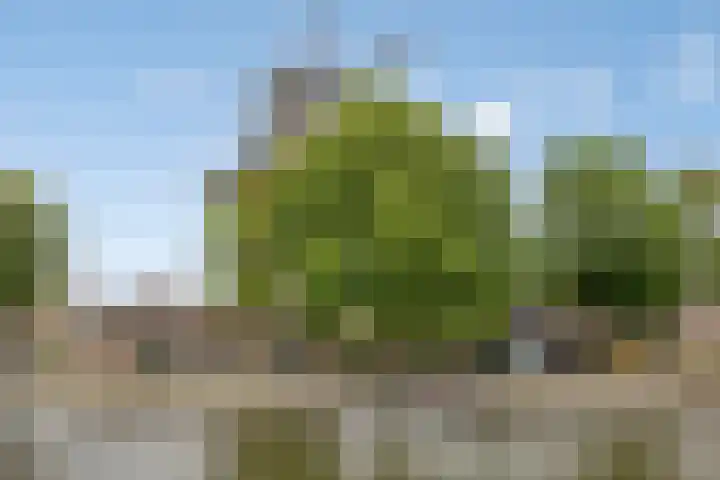 Cruquiuskade 201 Amsterdam thumbnail 29