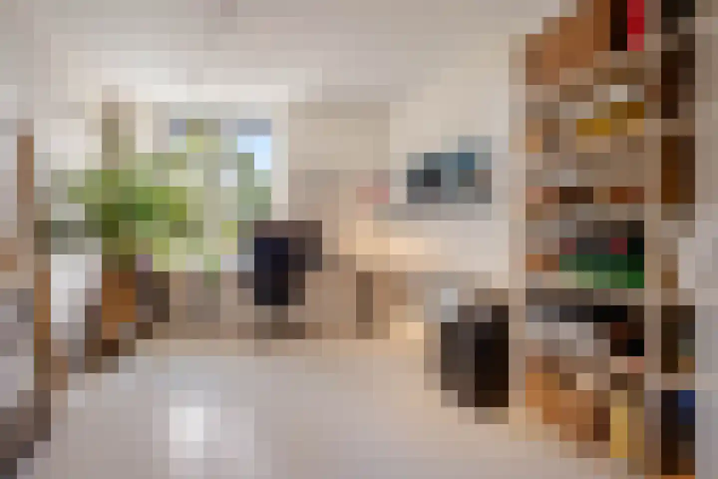 Cruquiuskade 5 Amsterdam thumbnail 15