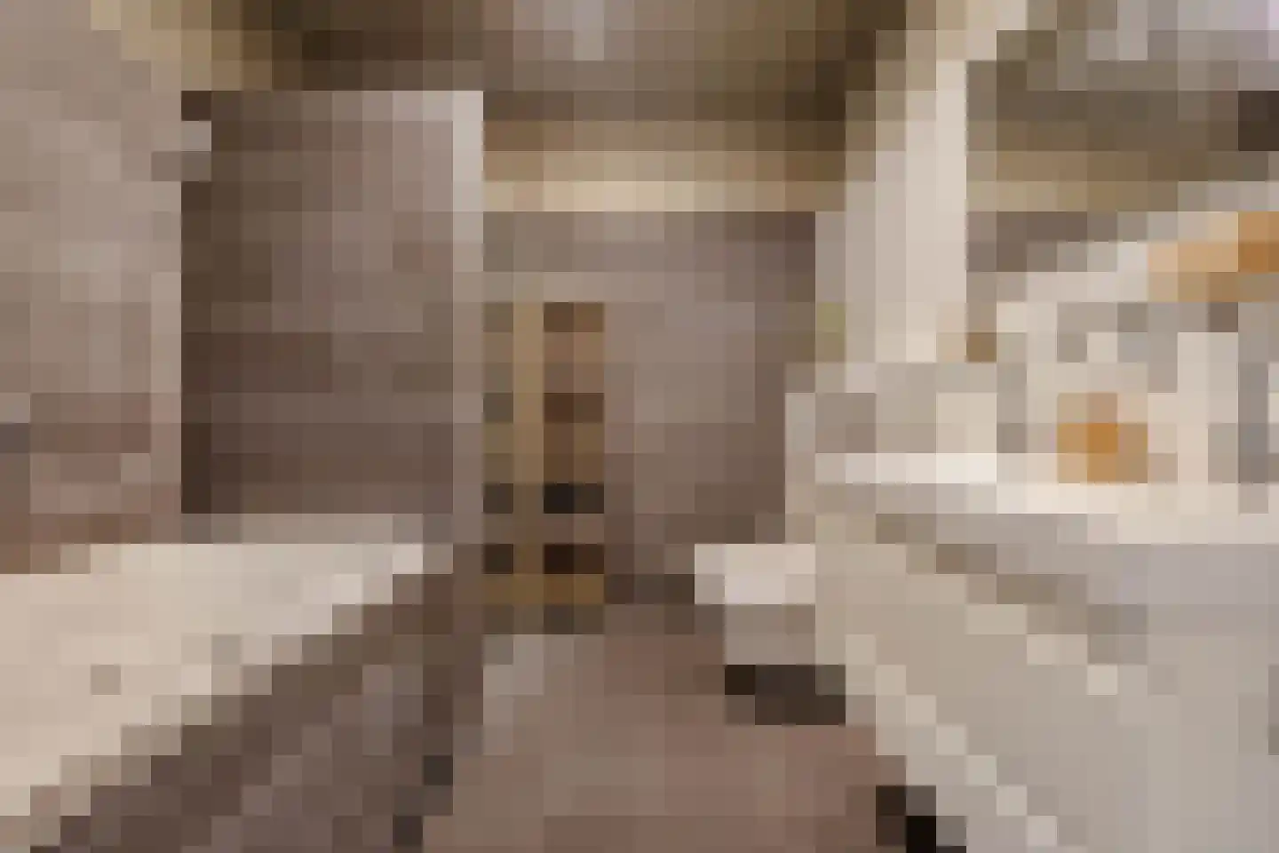 Cruquiuskade 5 Amsterdam thumbnail 17