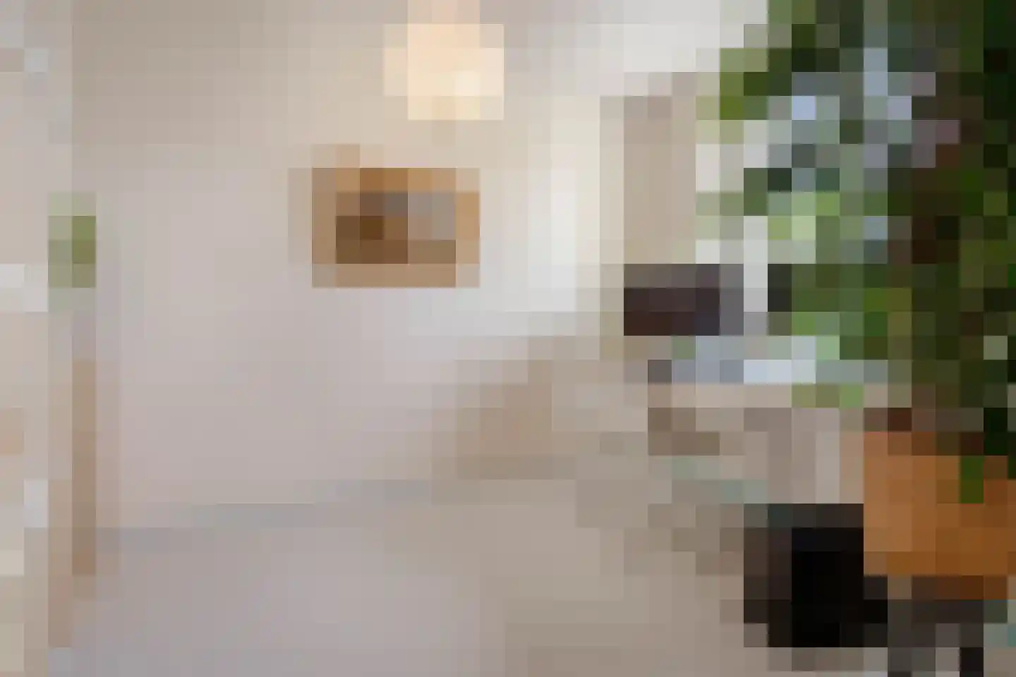 Cruquiuskade 5 Amsterdam thumbnail 8