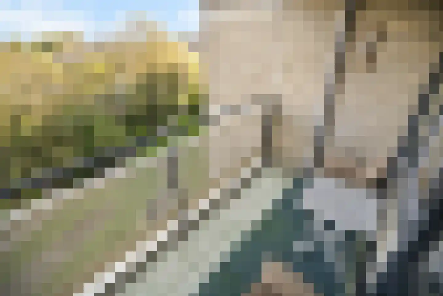 Cruquiuslaan 115 Leiden thumbnail 31