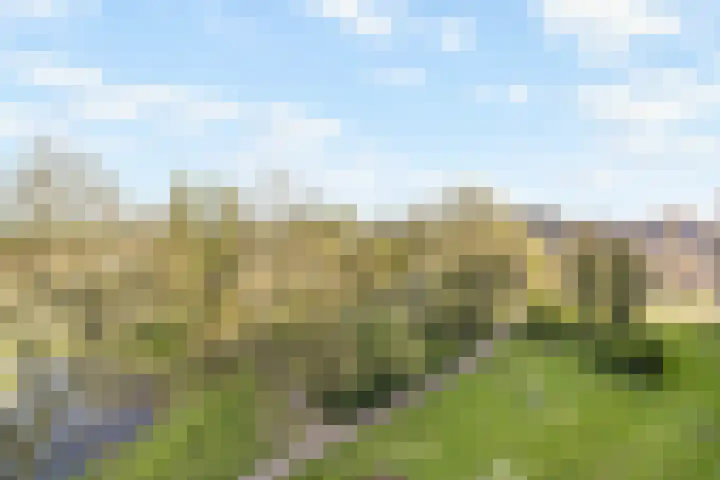 Cruquiuslaan 115 Leiden thumbnail 32