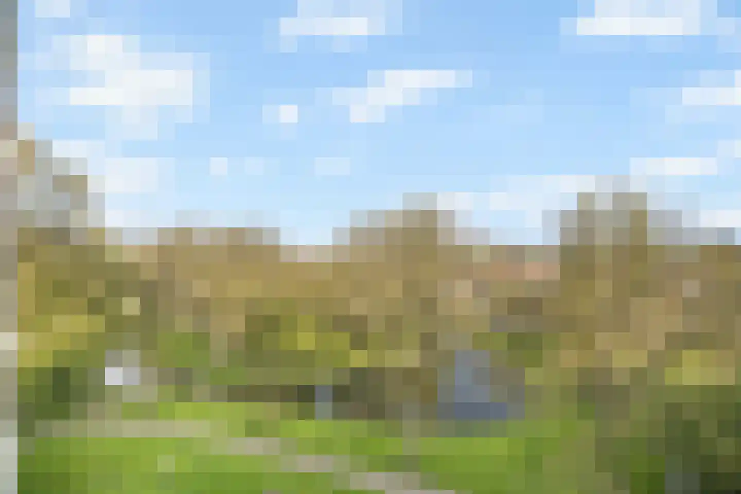 Cruquiuslaan 115 Leiden thumbnail 4