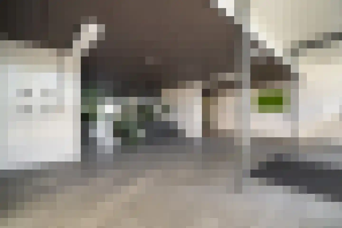 Cruquiuslaan 115 Leiden thumbnail 43