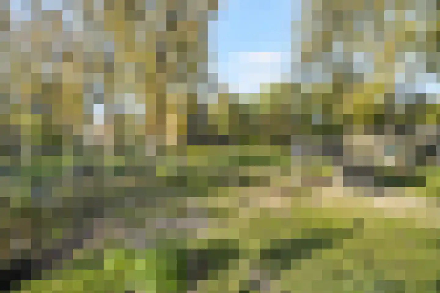 Cruquiuslaan 115 Leiden thumbnail 49