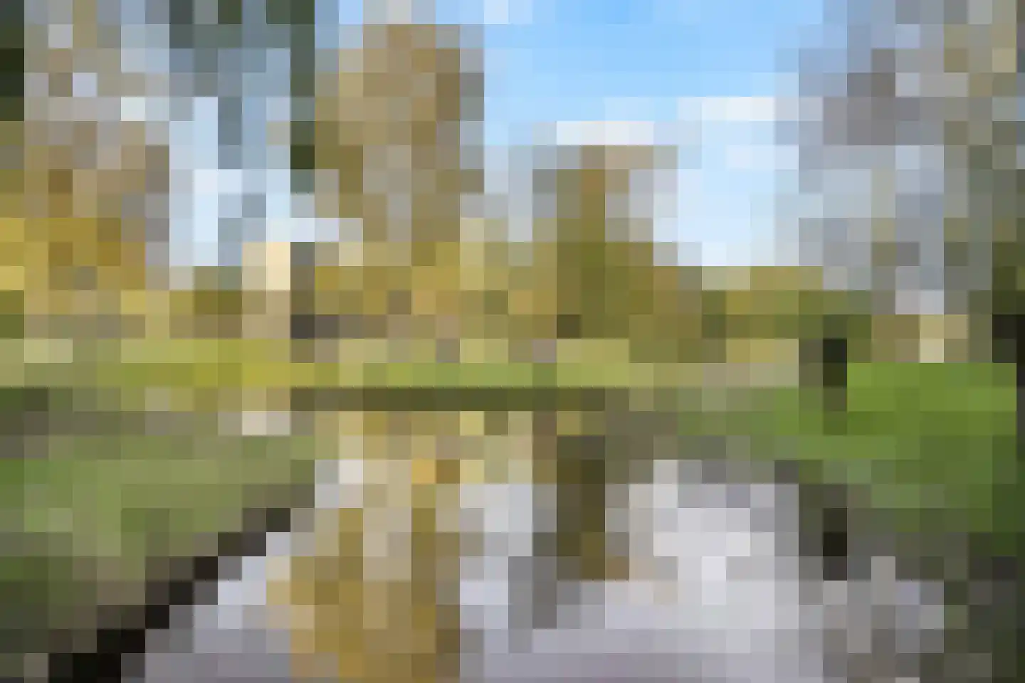 Cruquiuslaan 115 Leiden thumbnail 50