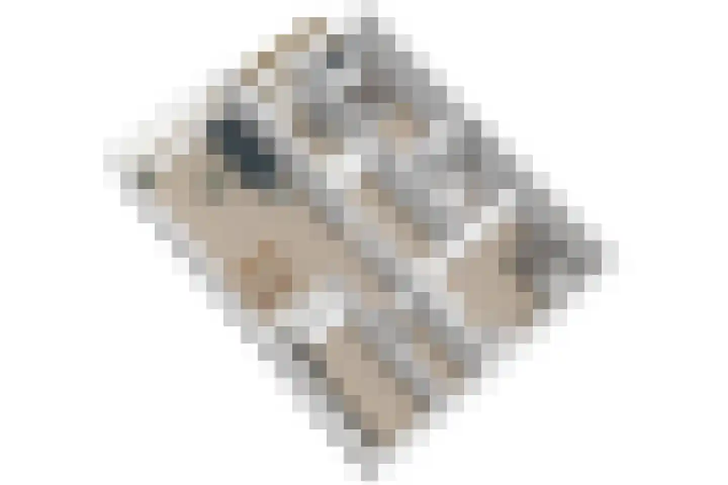 Cruquiuslaan 115 Leiden thumbnail 51
