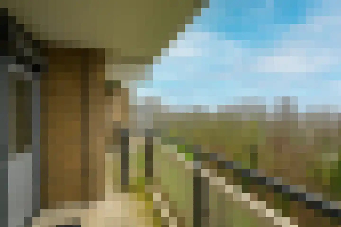 Cruquiuslaan 143 Leiden thumbnail 18