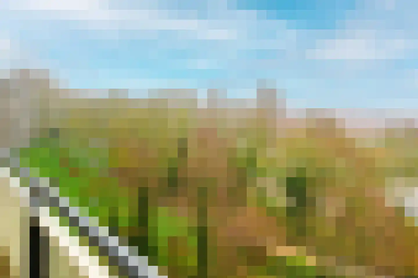 Cruquiuslaan 143 Leiden thumbnail 19