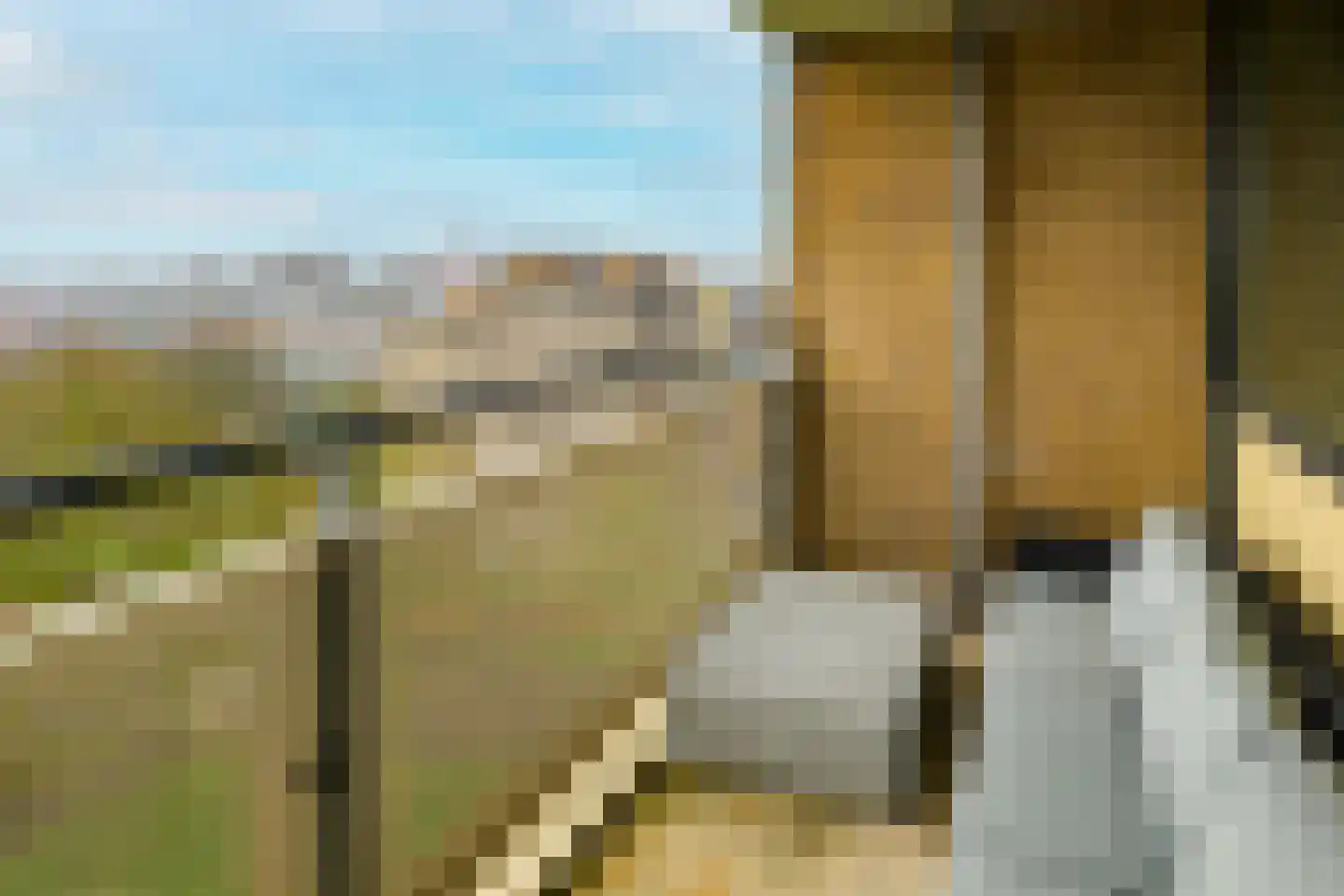 Cruquiuslaan 143 Leiden thumbnail 20